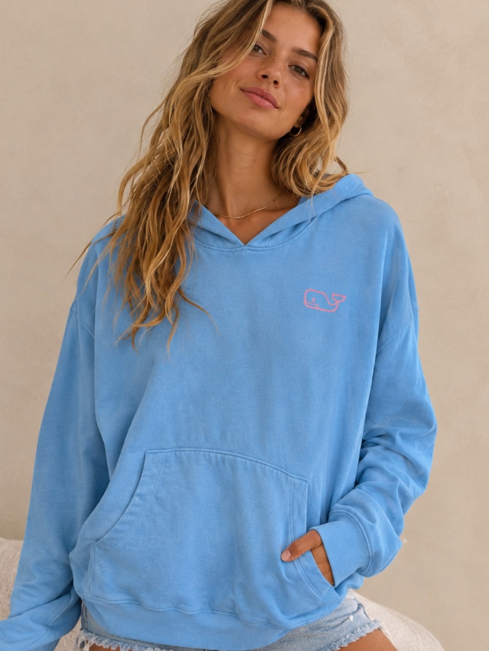 NWT Vineyard Vines Vintage Whale Hoodie XS Calm Waters Blue Pink Logo
